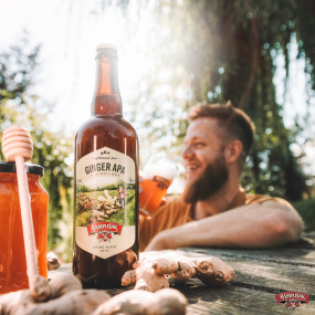 Ginger APA je zpět!