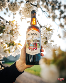 MÁJOVÁ IPA – v prodeji!