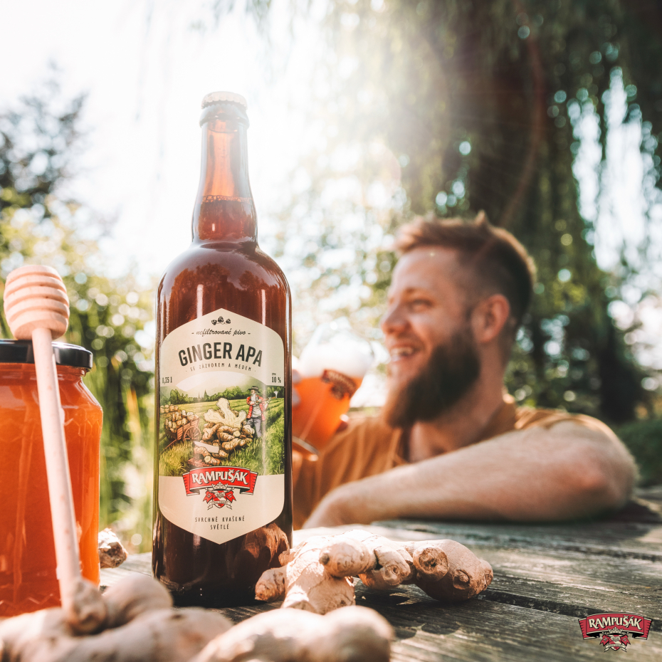 Ginger APA je zpět!